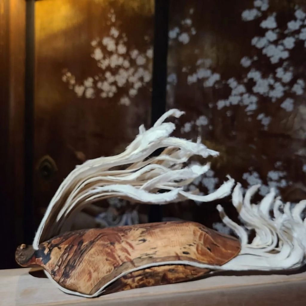 Werk tijdens de tentoonstelling in Ninnaji Tempel, Kyoto 2022